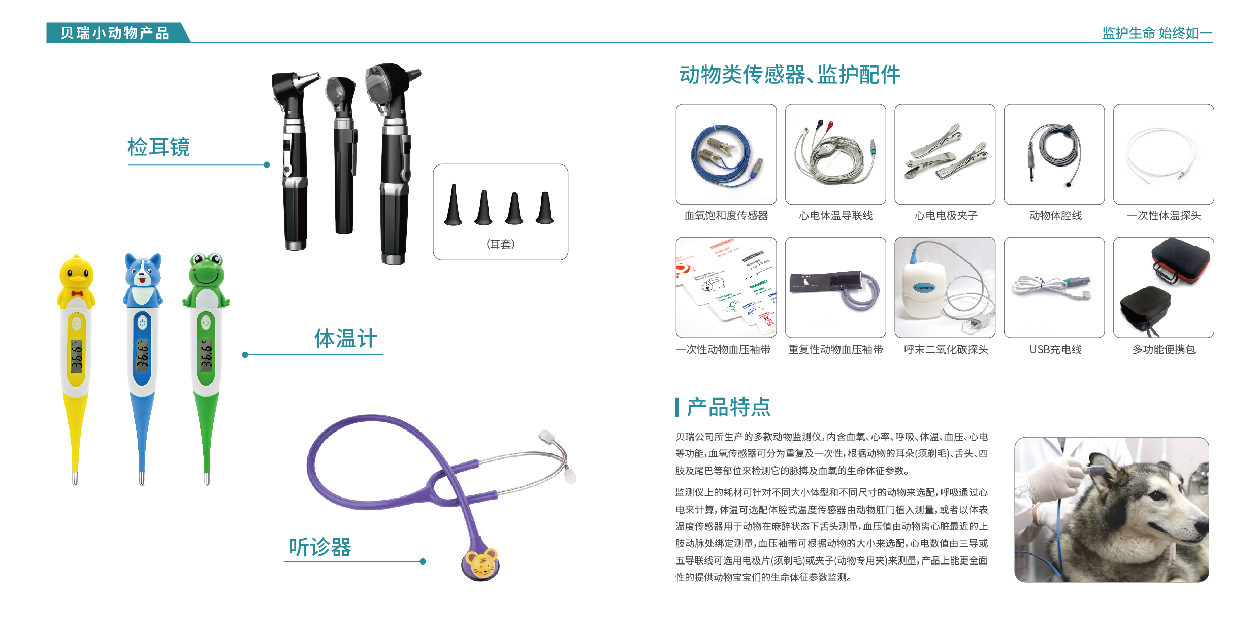 2025小動(dòng)物中文-05.jpg